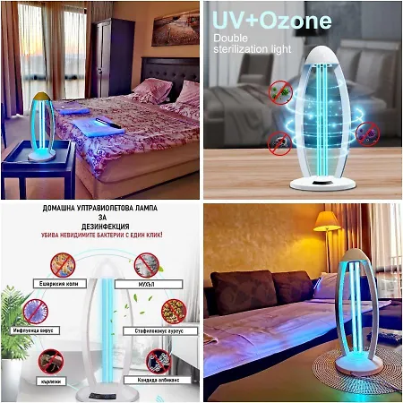 Royal Apartman Napospart